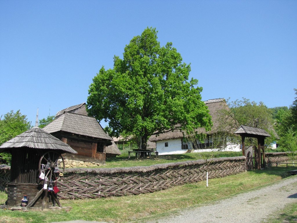 Baia Mare